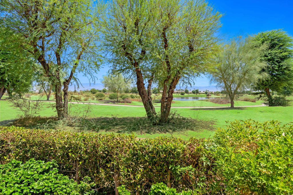 55610 Royal St George Property Photo 38
