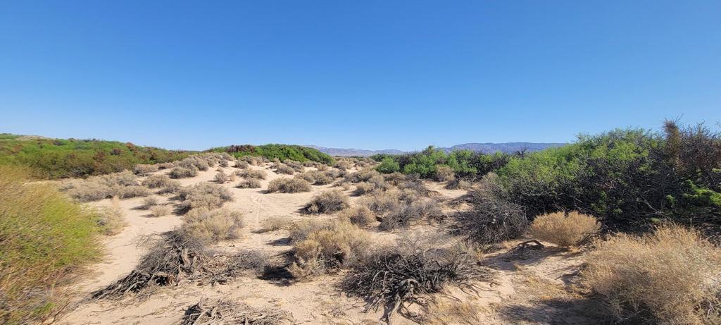 1655 La Buena Tierra Avenue Property Photo 1
