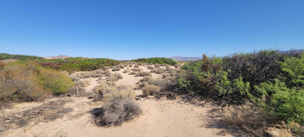 1655 La Buena Tierra Avenue Property Photo 3