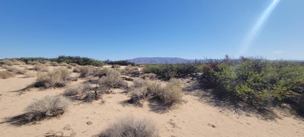 1655 La Buena Tierra Avenue Property Photo 7