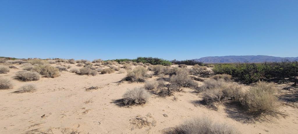1655 La Buena Tierra Avenue Property Photo 8