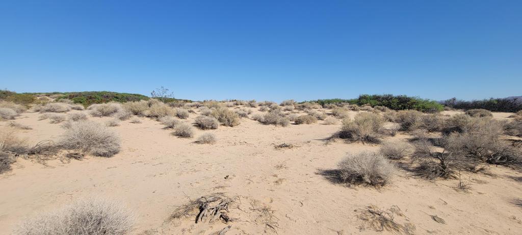 1655 La Buena Tierra Avenue Property Photo 10