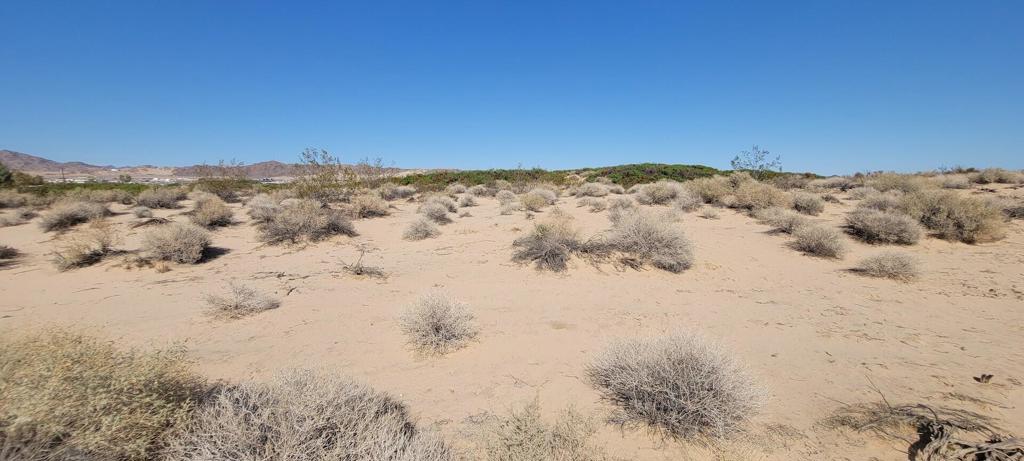 1655 La Buena Tierra Avenue Property Photo 14