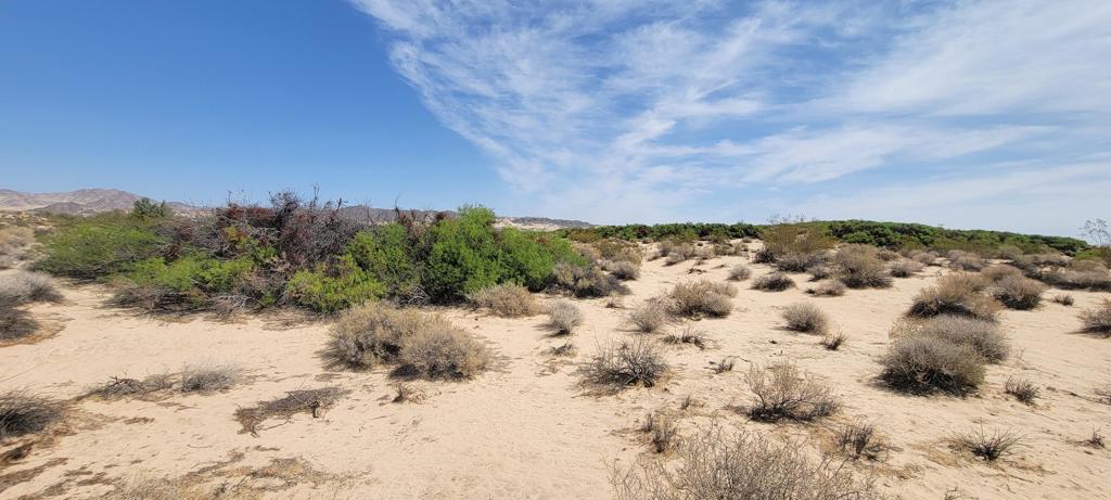 1655 La Buena Tierra Avenue Property Photo 15