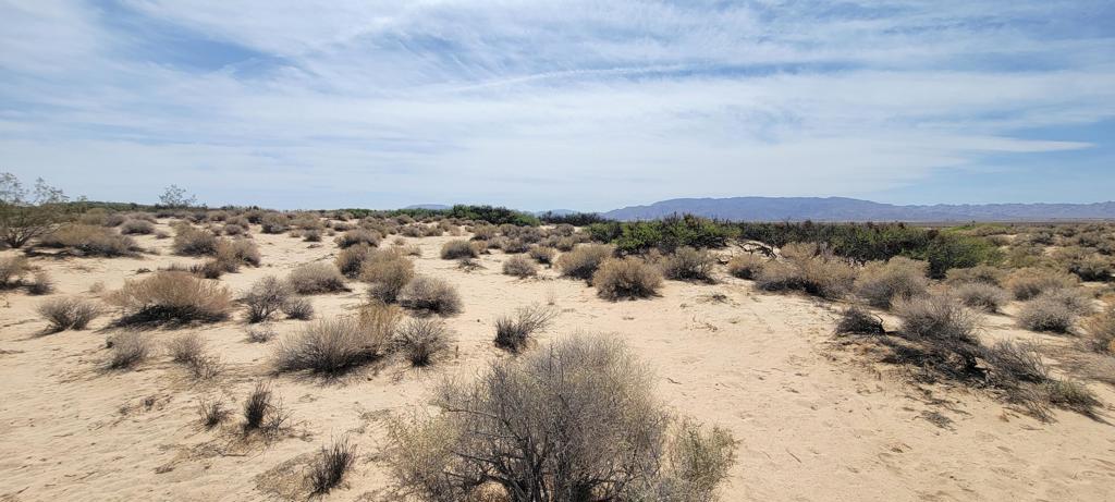 1655 La Buena Tierra Avenue Property Photo 17