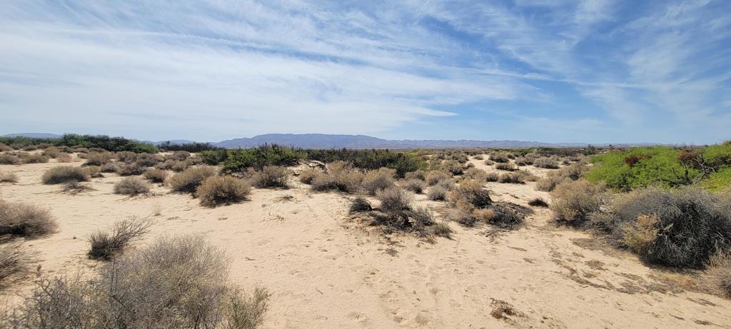 1655 La Buena Tierra Avenue Property Photo 18