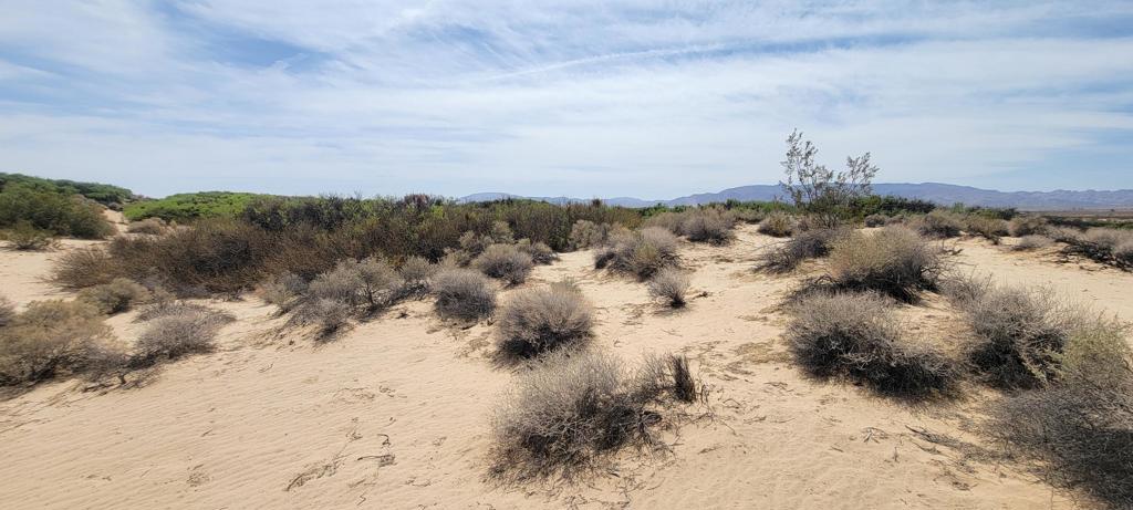 1655 La Buena Tierra Avenue Property Photo 21