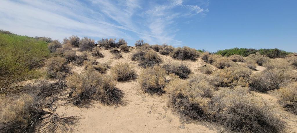 1655 La Buena Tierra Avenue Property Photo 27