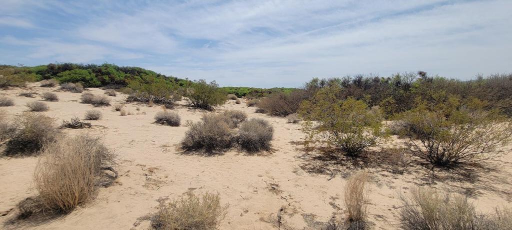 1655 La Buena Tierra Avenue Property Photo 33