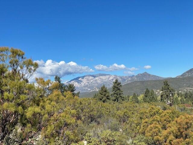 Lot 20 Goldshot Creek Road Property Photo 2