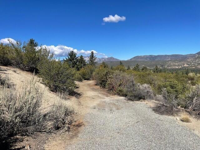 Lot 20 Goldshot Creek Road Property Photo 3