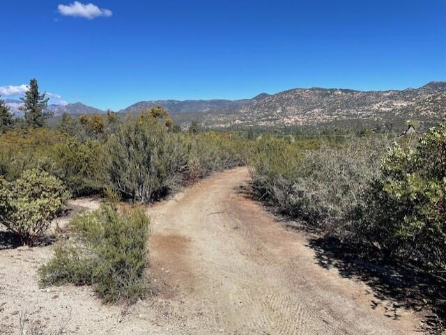 Lot 20 Goldshot Creek Road Property Photo 4
