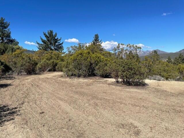 Lot 20 Goldshot Creek Road Property Photo 9