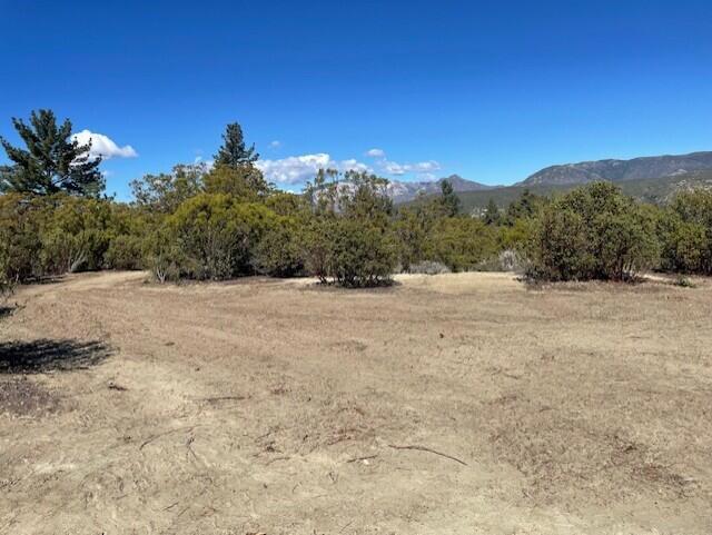 Lot 20 Goldshot Creek Road Property Photo 11