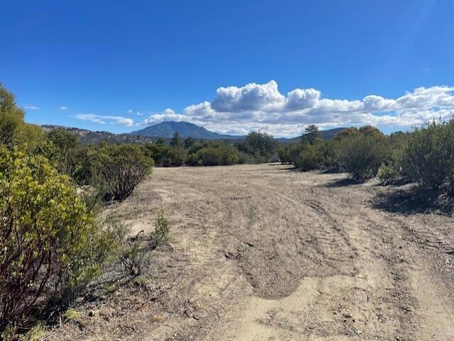 Lot 20 Goldshot Creek Road Property Photo 13