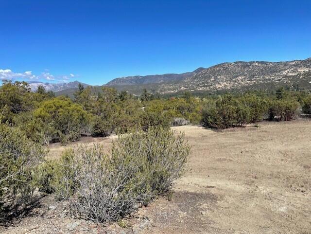 Lot 20 Goldshot Creek Road Property Photo 15