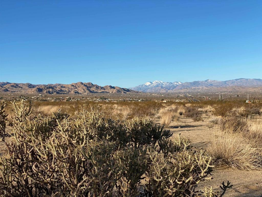 29 Palms Hwy Property Photo 2