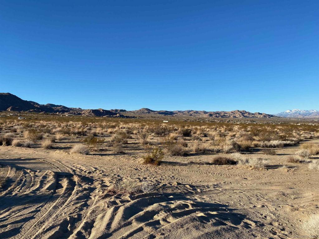 29 Palms Hwy Property Photo 13