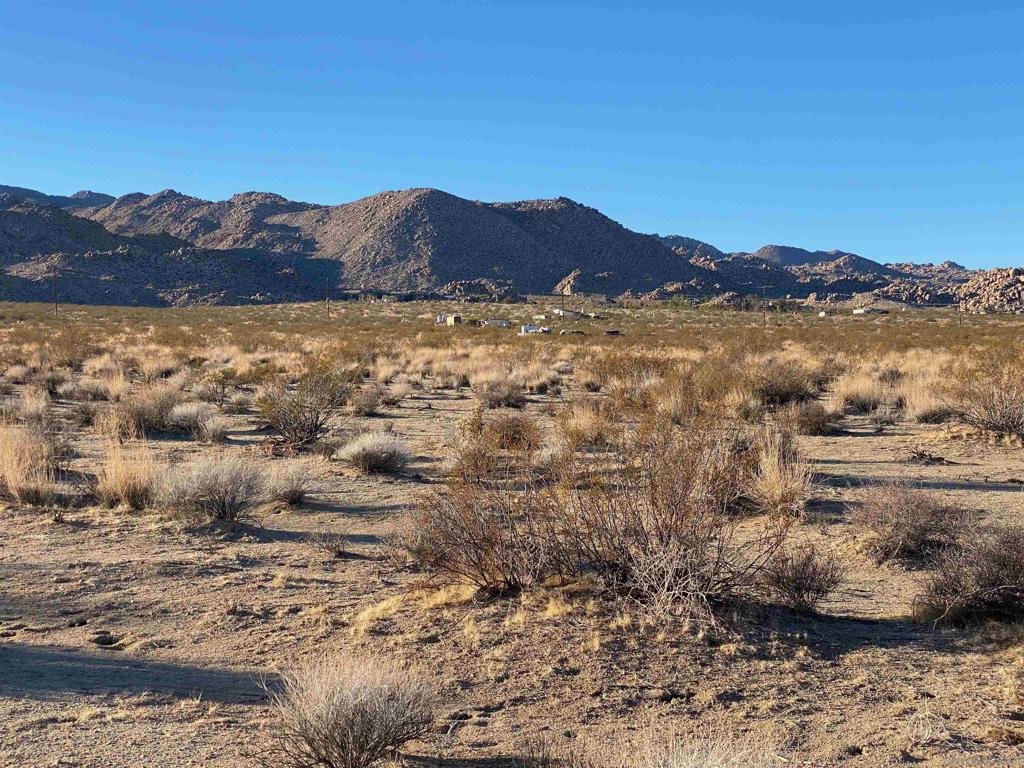 29 Palms Hwy Property Photo 14