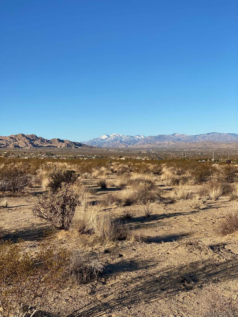 29 Palms Hwy Property Photo 15