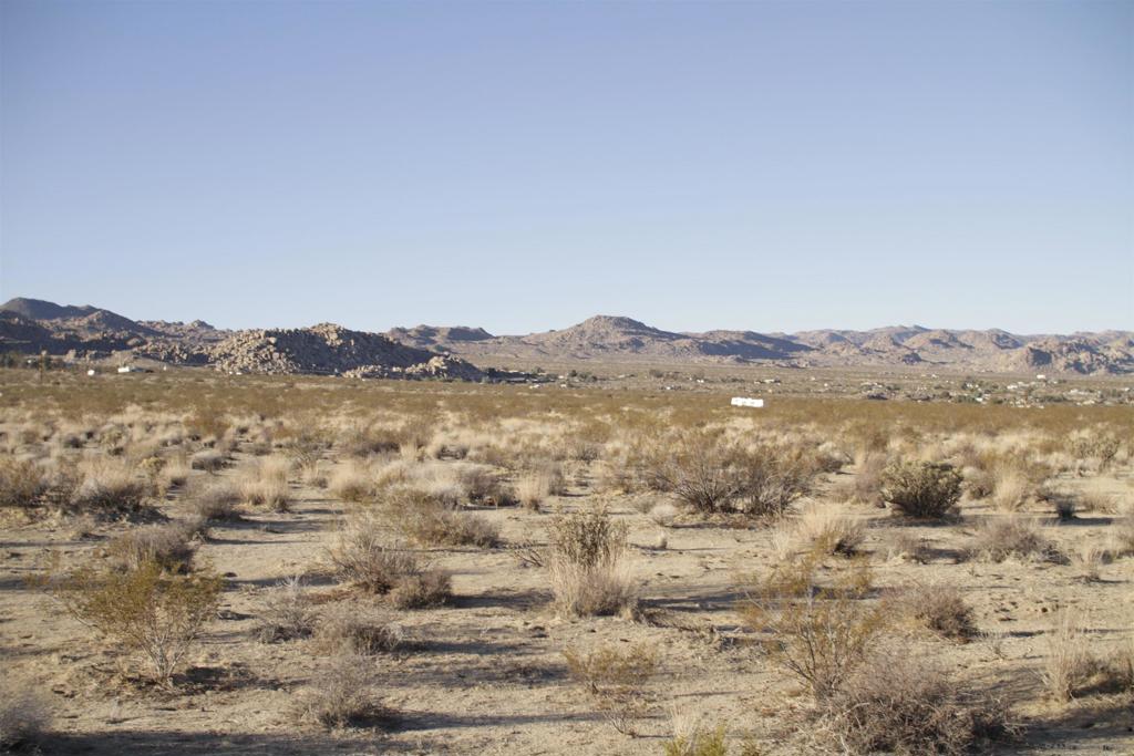 29 Palms Hwy Property Photo 31