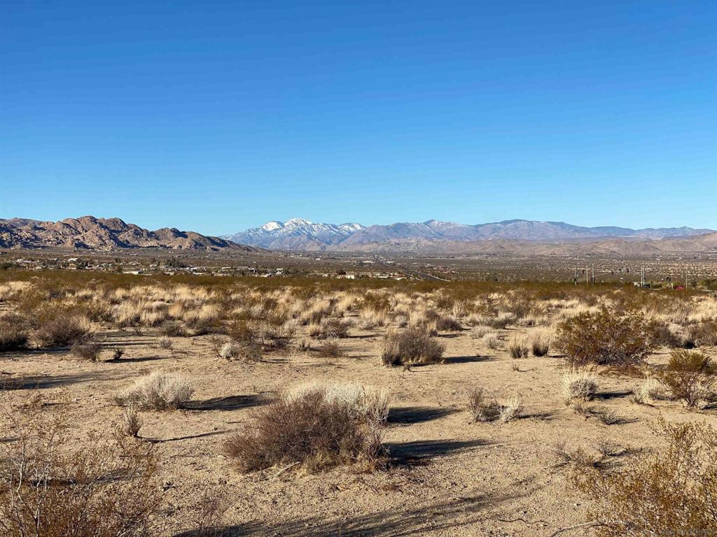 29 Palms Hwy Property Photo 32