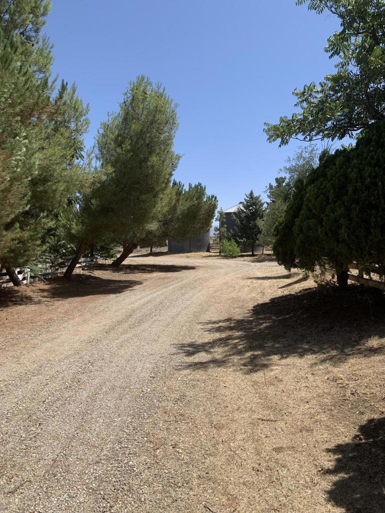 231 Castro Canyon Road Property Photo 18