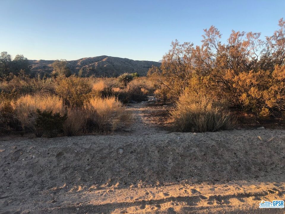 0 Pioneer Road Property Photo 2