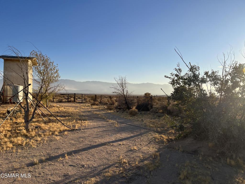55777 Lantana Street Property Photo 24