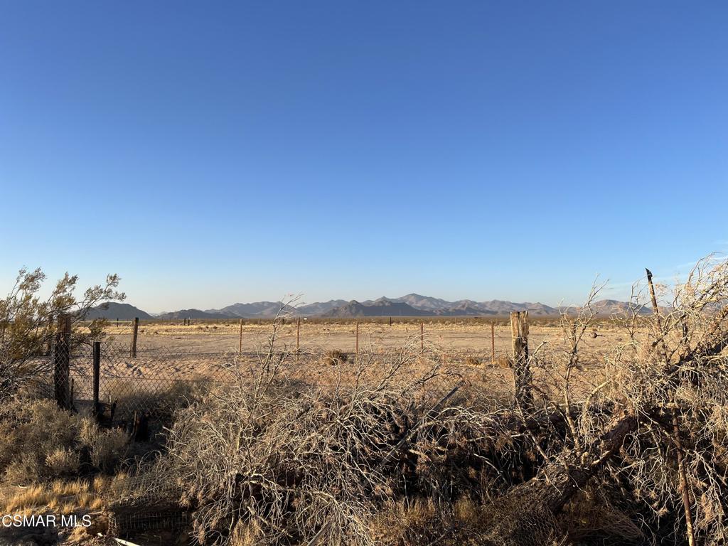 55777 Lantana Street Property Photo 25