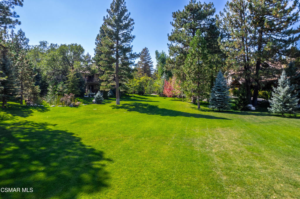 32310 Hummingbird Court Property Photo 62