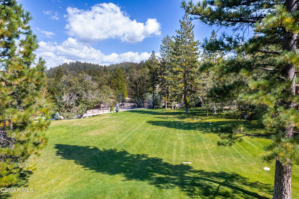 32310 Hummingbird Court Property Photo 63