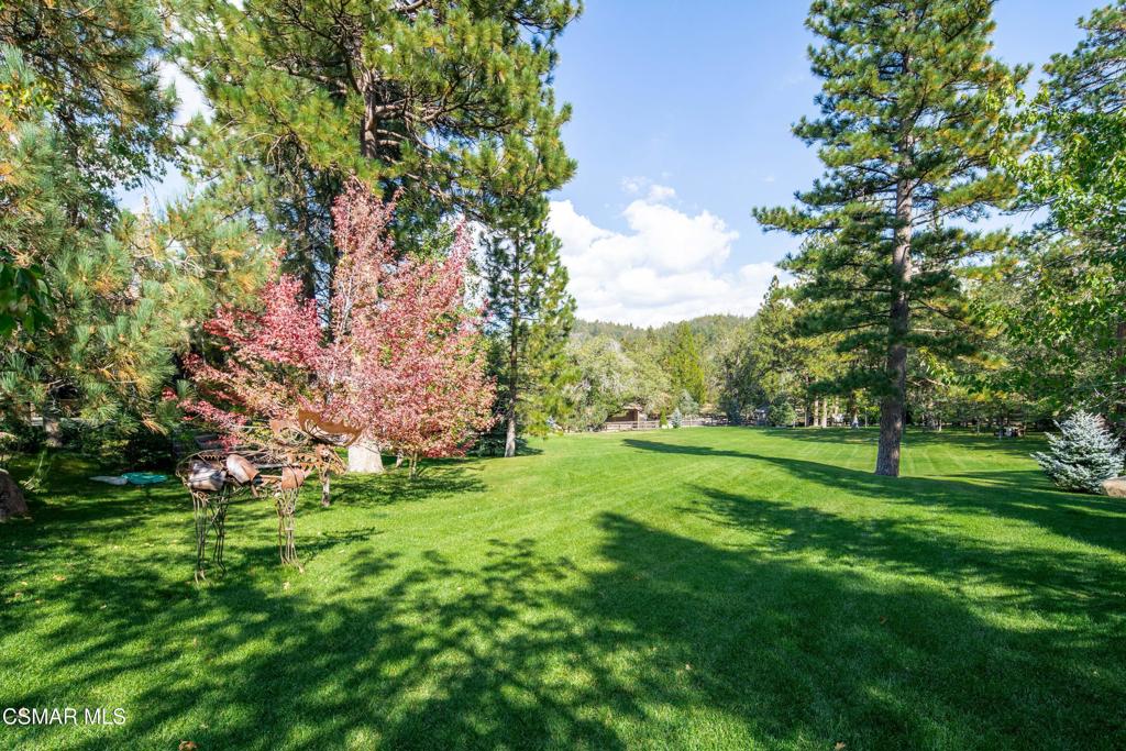 32310 Hummingbird Court Property Photo 66