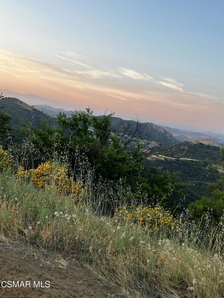 102 W Carlisle Road Property Photo 33