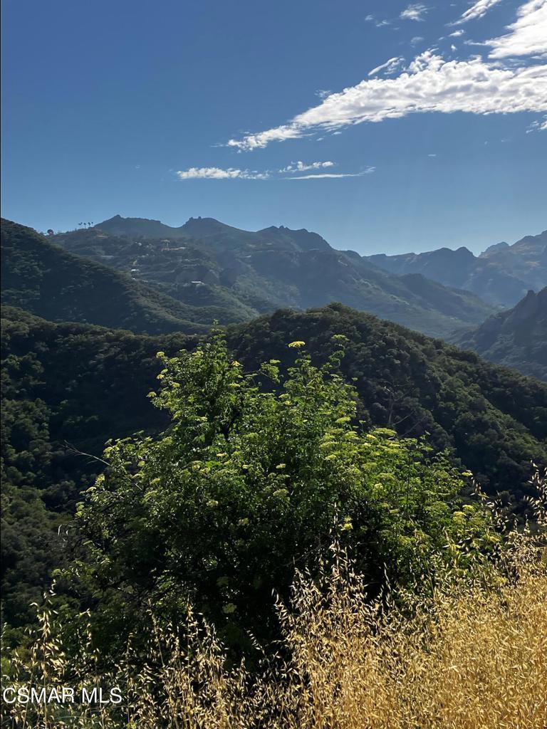 102 W Carlisle Road Property Photo 34