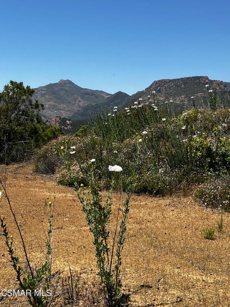 102 W Carlisle Road Property Photo 35