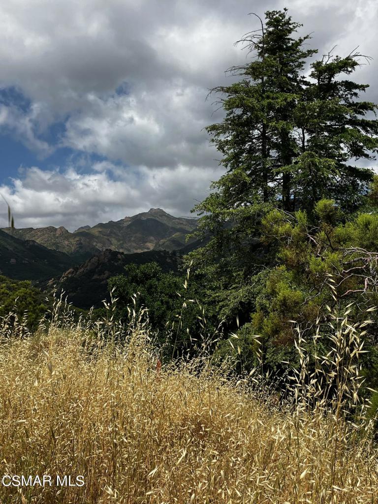 102 W Carlisle Road Property Photo 36