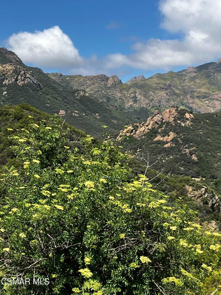 102 W Carlisle Road Property Photo 37