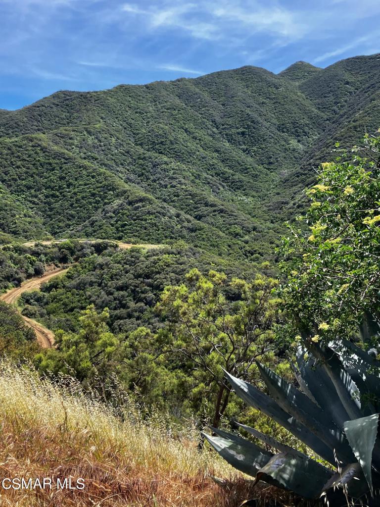 102 W Carlisle Road Property Photo 38