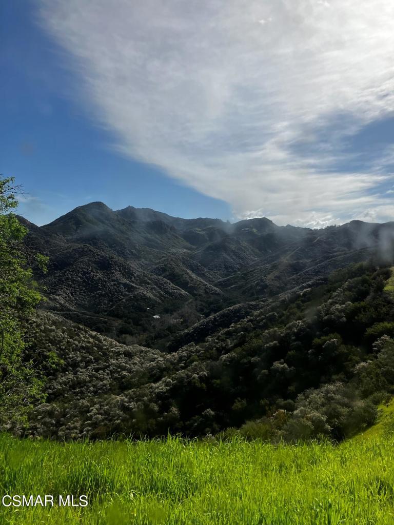 102 W Carlisle Road Property Photo 44