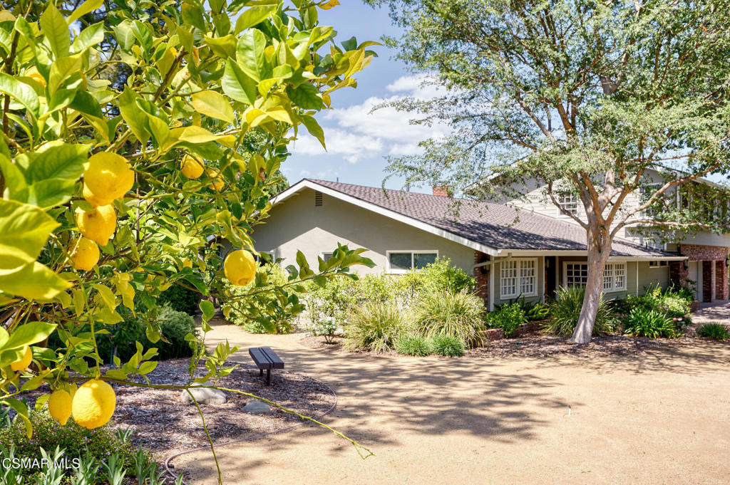 22101 Mulholland Drive Property Photo 9
