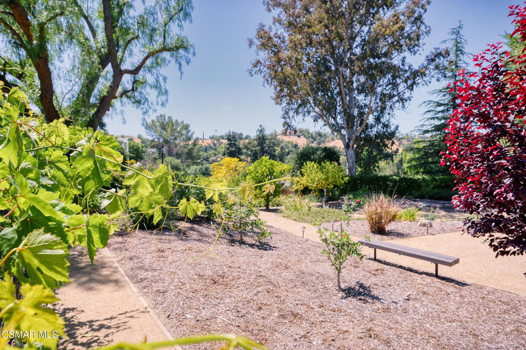 22101 Mulholland Drive Property Photo 10