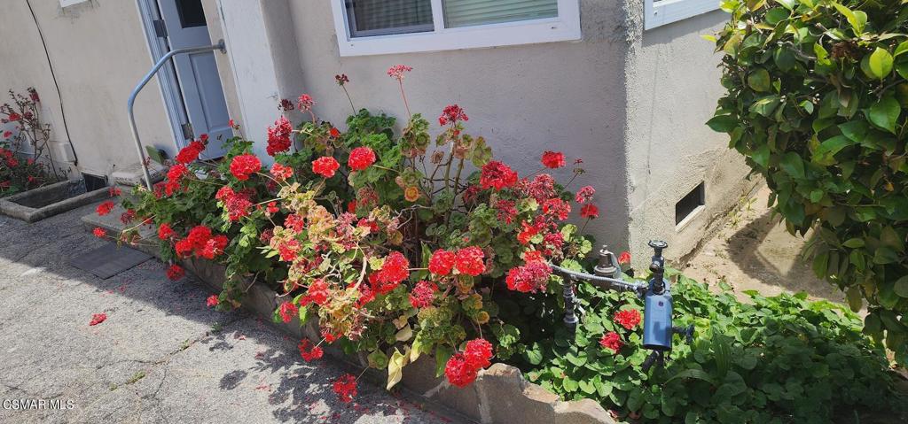 7538 Vassar Avenue Property Photo 16