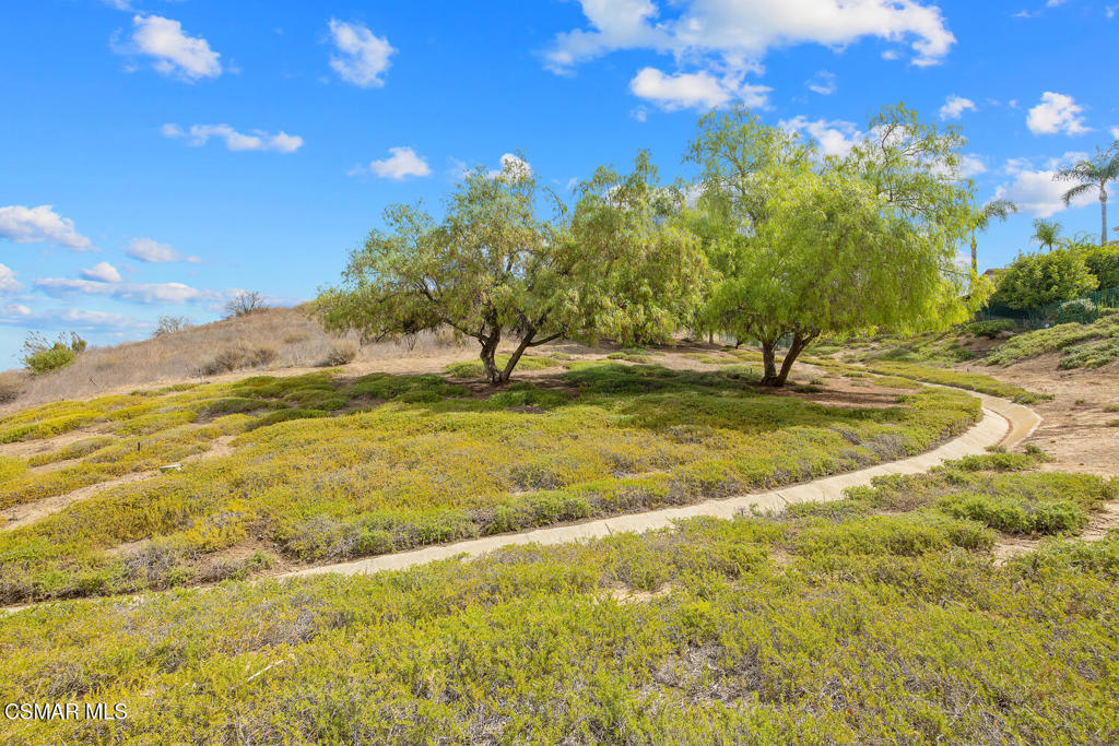181 Dusty Rose Court Property Photo 51