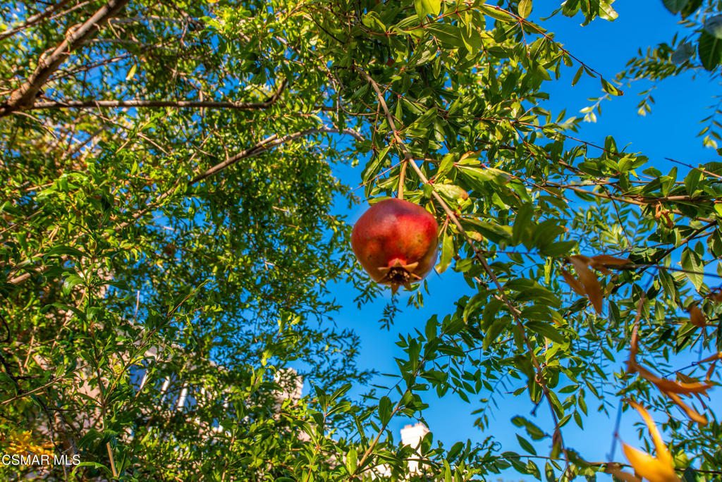 3586 Lathrop Avenue Property Photo 63