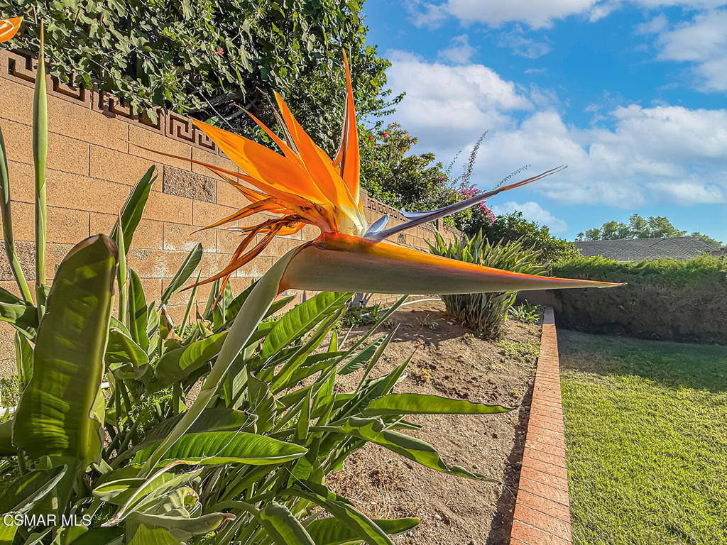 758 Mondego Place Property Photo 33