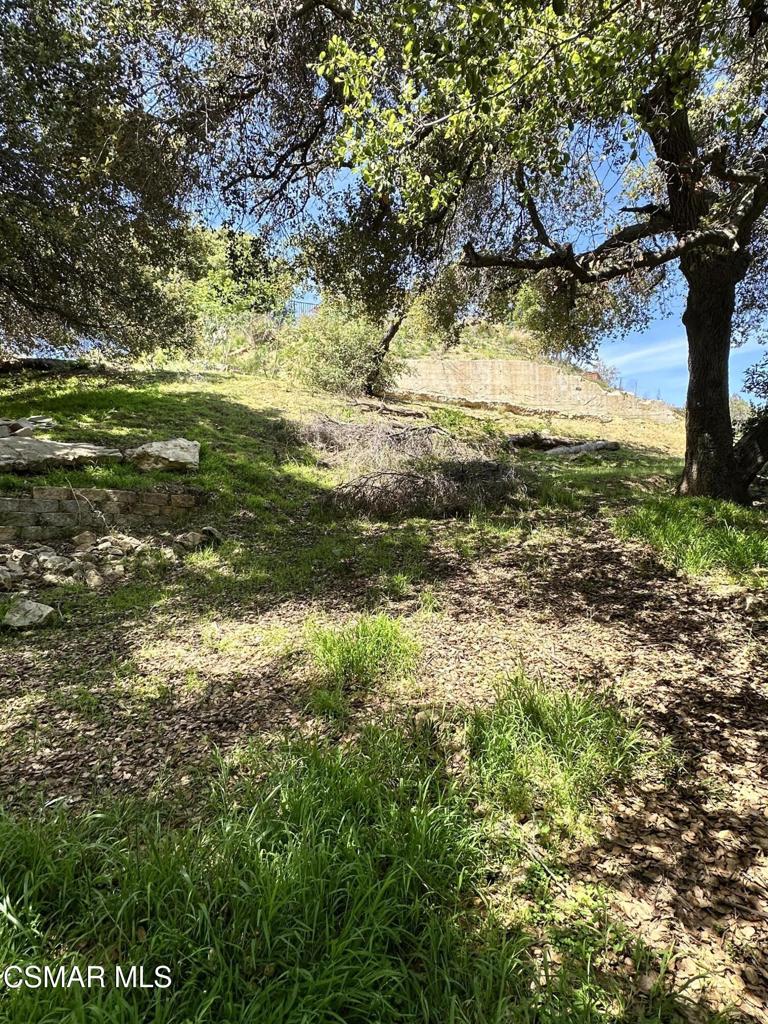 Rudolph Drive Property Photo 8