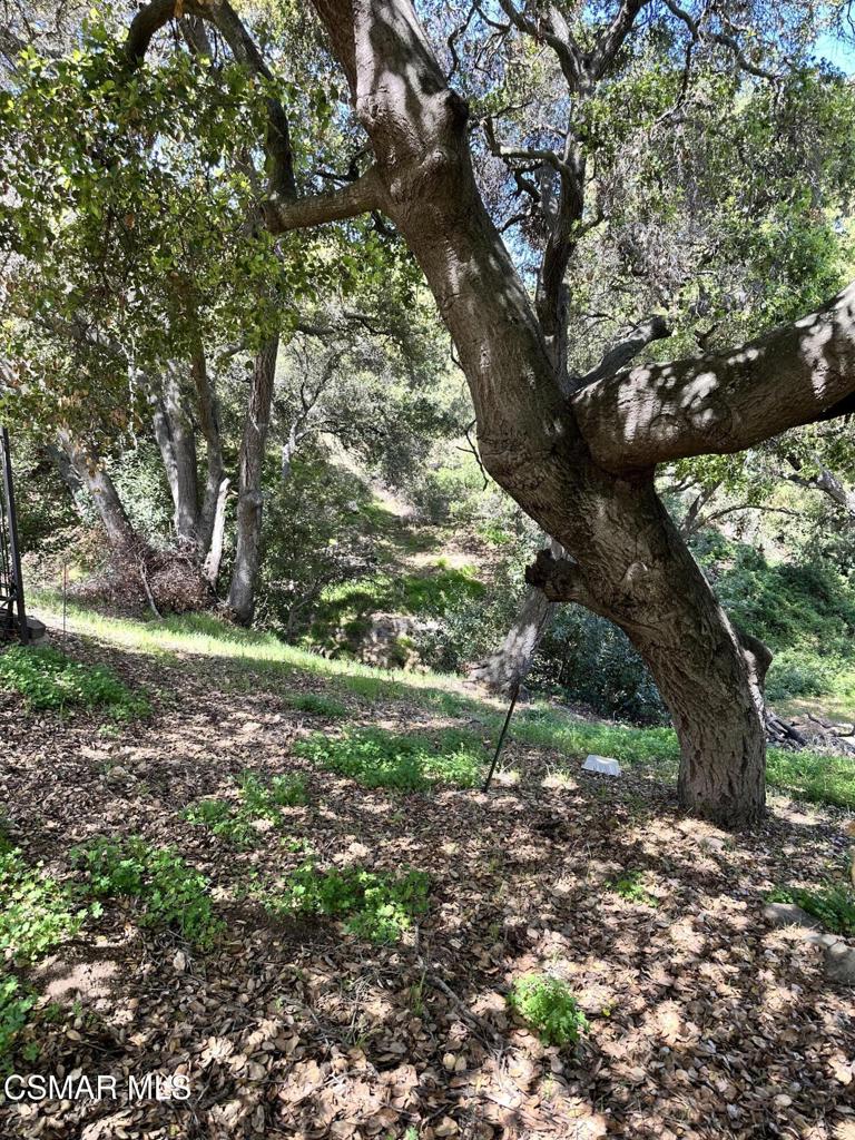 Rudolph Drive Property Photo 10