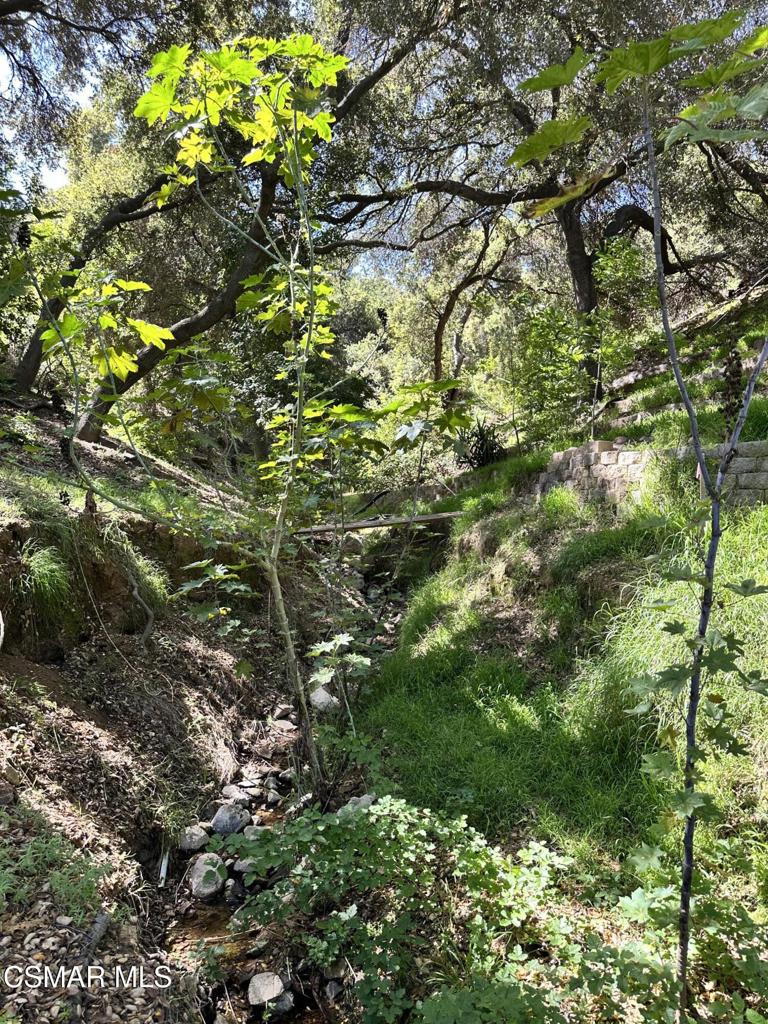 Rudolph Drive Property Photo 11