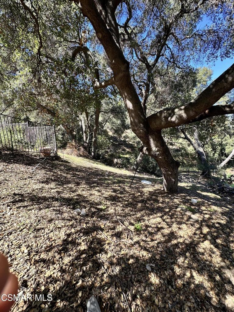 Rudolph Drive Property Photo 15